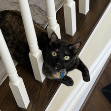 Keira
