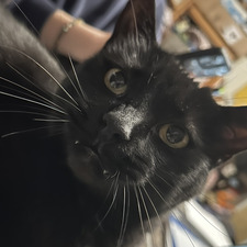 Sam