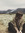 Lize_07
