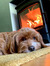 Rupert