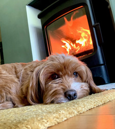 Rupert