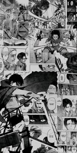 Levi_ Danchou