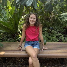 Haley