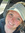 Stephanie Bardell
