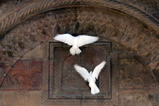 رَاء