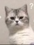 Elly Ch...