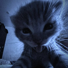 Izzy