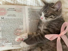 ellie tha reader✨
