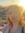 member photo member photo