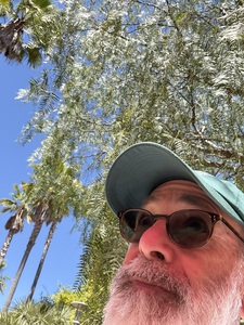 Todd baron