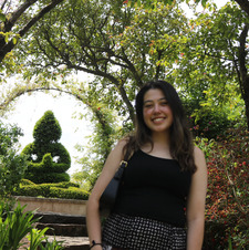 Sydney Artemis