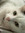 Rie S