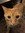 member photo member photo