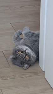 Eeeeeeeeemme