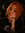 Renee-WitchyReads 