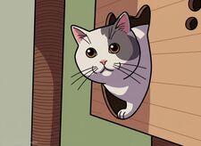 oh Hai