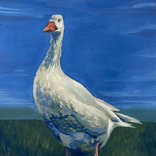 Jolijn