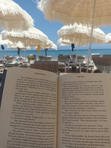 E. the reader