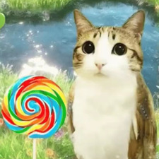 Poobea