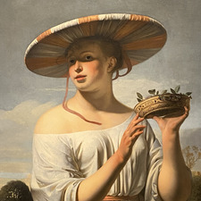 vedia