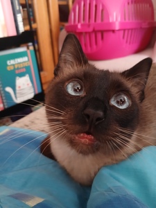 I. M.
