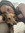 Ashly Zurlo
