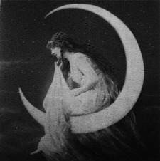 Selene ⋆.˚ ☾ .⭒˚