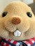 Sofie