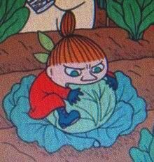saule menulis