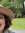 Rose Poorbaugh 