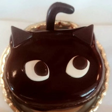 Aila Cat