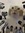 lysosome12345