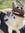 member photo member photo