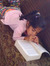simran