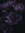 Raven
