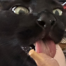 Lis