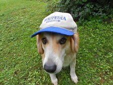 Mradper