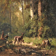 Moafl