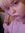Eliise