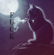 Catu