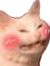 Kin