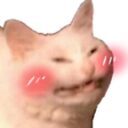 Kin