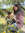 Aditi
