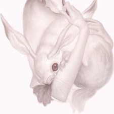 bunny •๑•