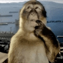 Dan