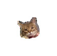 Titouan