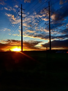 Darcie Belle