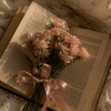whimsical_liability
