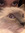 Noey
