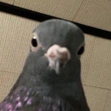 Berta